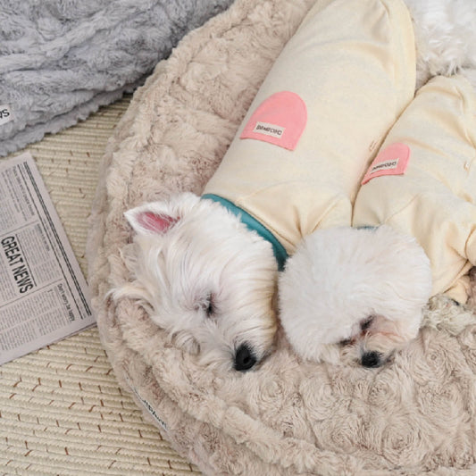 How to Choose a Pet Bed: Creating the Perfect Sleep Haven for Your Furry Friend