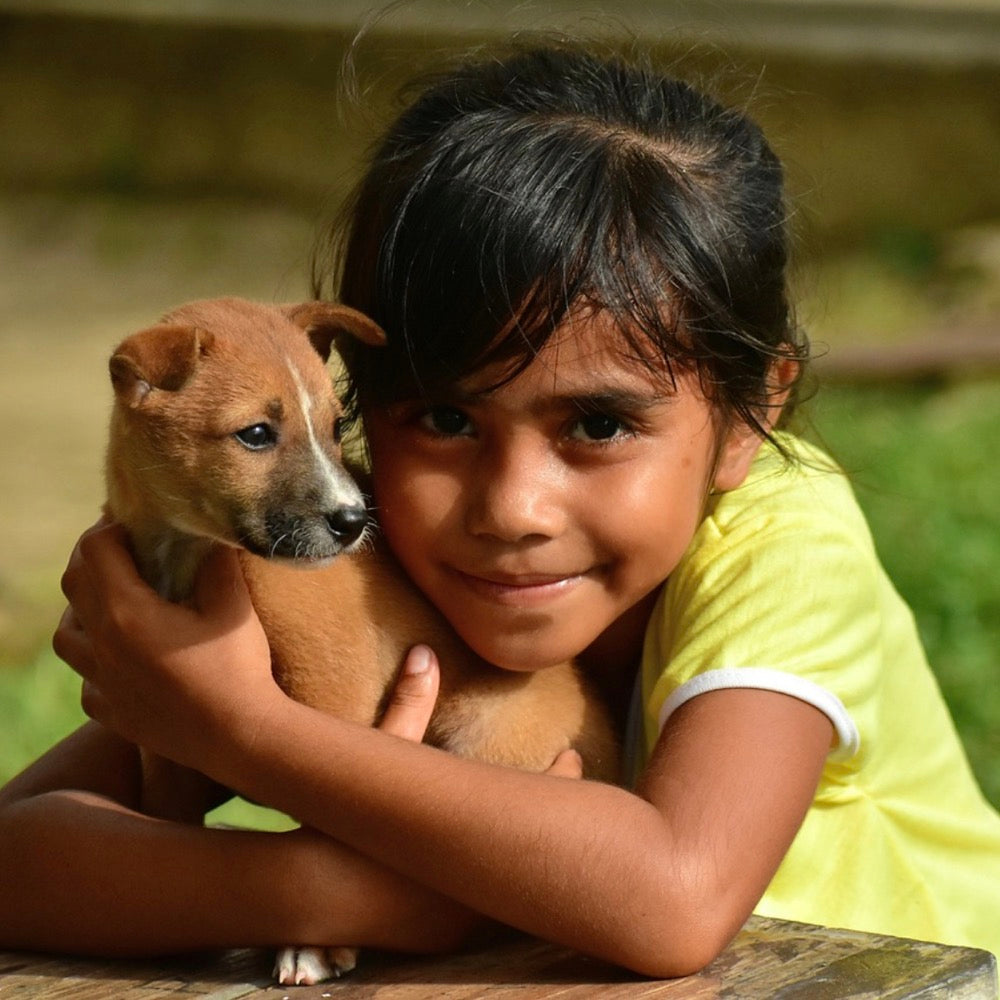 The Complete Guide to Pet Care: From Adoption to Health and Happiness