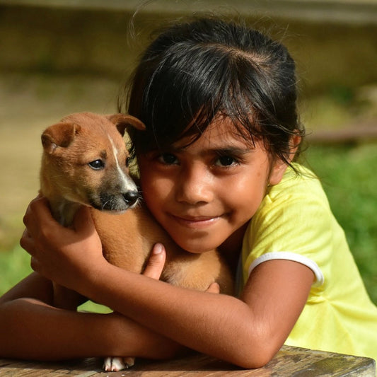 The Complete Guide to Pet Care: From Adoption to Health and Happiness