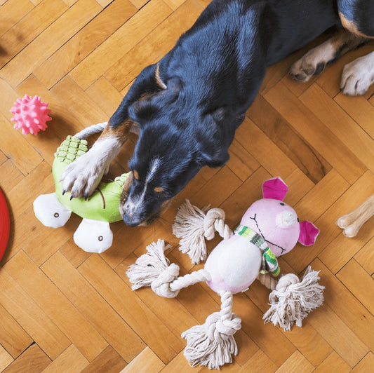 The Ultimate Guide to Choosing the Perfect Pet Toys: Enhancing Your Furry Friend's Playtime